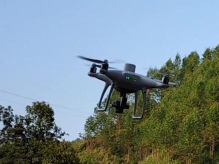 无人机测量面积,600亩桉树林,几分钟搞定了