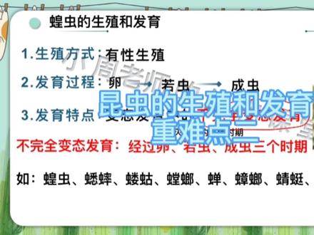 画重点‖昆虫的生殖和发育重难点二:蝗虫的生殖和发育,没有蛹期,属于不完全变态发育 #初中生物 #昆虫 #蝗虫 #知识分享 #每天跟我涨知识