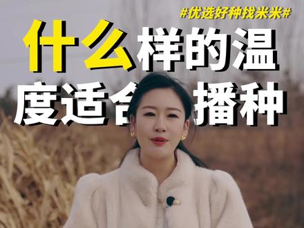 玉米最适合的播种温度是多少#抖音助农 #玉米种植 #玉米种植技术 #高产玉米种子 #联达种业米米