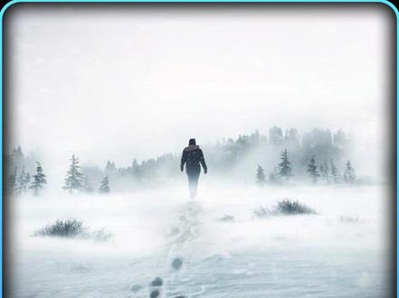 十人挑战北极生存100天,获胜者将有百万现金奖励 #荒野求生 #野外生存 #户外