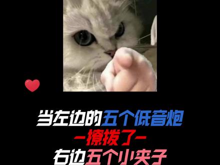 欢迎光临,这是我为你设的声音迷宫。#星次元 #辛巴巴巴噜比啦翻唱 #Симпа #周星计划