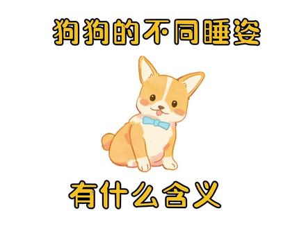 狗狗睡姿=肢体语言有何含义#萌宠出道计划 #铲屎官的乐趣 #萌宠日常记录 #可爱到爆炸💥