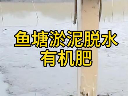 鱼塘淤泥,有没有其它用途?淤泥变有机肥!#鱼塘淤泥 #河道淤泥 #河道清理 #清淤 #有机肥设备