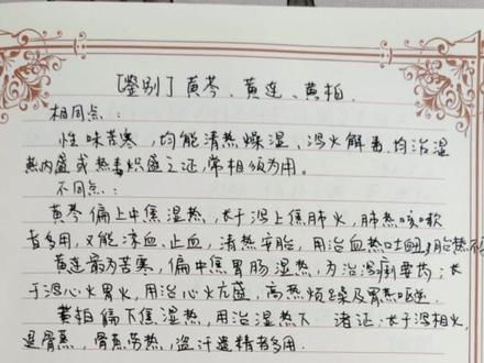 黄柏 学习笔记43#中药