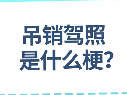 #崩坏3 #崩坏3创作者激励计划 【崩坏百科】吊销驾照是什么梗?