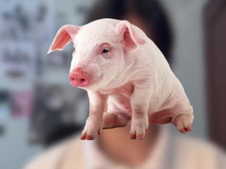 你赢了why
#无骨晓丽 #涵瑶v涵璐 #道歉#涵瑶