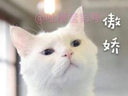 一分钟红楼梦关系图#红楼梦 #复杂人物关系 #来做一场红楼梦 #家长必读