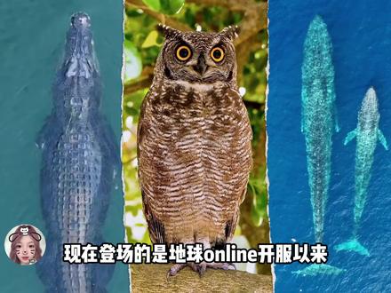 地球online开服以来最阴的三个机制怪 #鳄鱼叔叔 #猫头鹰 #蓝鲸阿姨 #机制 #数值怪