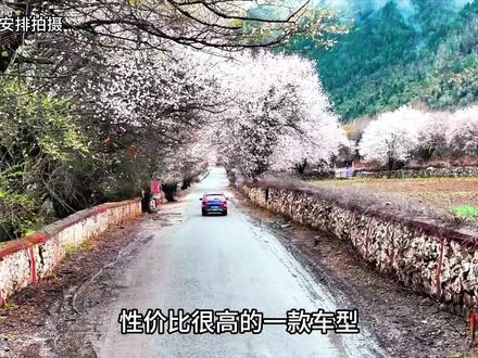 自驾西藏,你一定要会选车,一定不能开的车有哪些#318川藏线 #自驾西藏 #此生必驾318 #旅行推荐官 #西藏