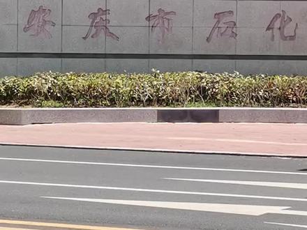 安庆中学之三安庆石化一中