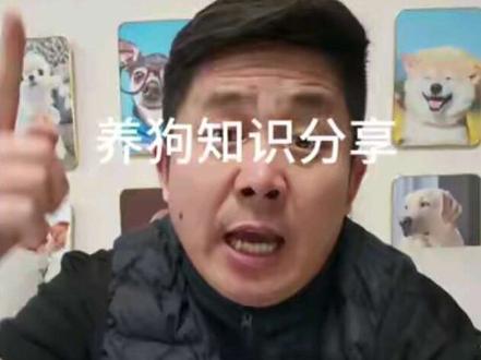 养狗知识分享#养狗