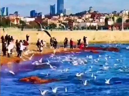 八上课文朗读:一着惊海天#语文 #朗读 #为祖国点赞