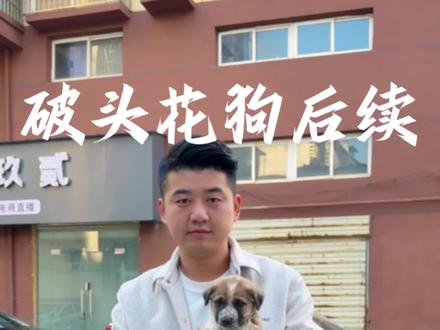 它不知道自己会破头花,也不知道出生时就被贴上了标签。生命从不该被外貌定义。谢谢大家的关心,我会养好,我们一起传递社会正能量。