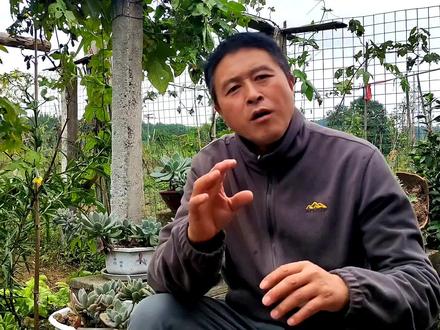 保存蜂王只需要三步就搞定了,一个蜂桶放十多个蜂王都可以的! #我的农村生活 #土蜂蜜 #养蜂技术分享 #养蜂知识分享 #乡村守护人