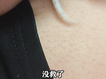 救助动物,人人有者,但也要看情况 #保护动物 #救助动物 #救助动物人人有责