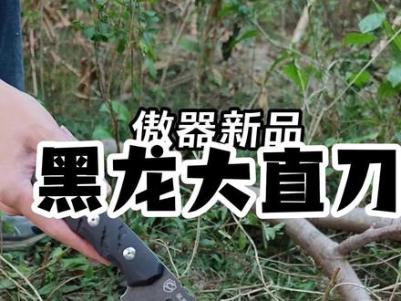 户外刀劈砍木头实测!傲器黑龙大直刀展示 #高性能实用工具 #傲器户外刀 #露营装备 #户外探险 #狼居胥户外刀