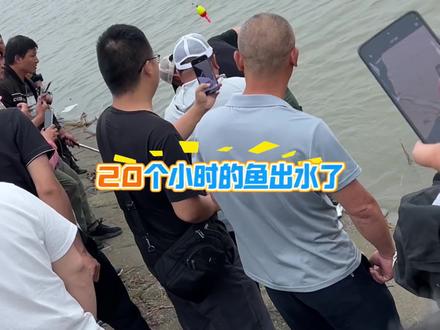 溜了20个小时的鱼,你看着有多大 #原来钓鱼才是抖音顶流活动 #钓鱼热点事件 #东荆河