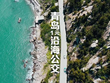 青岛有个1块钱的环海公交,这个秋天一定要去打卡~#山东深秋已送达 #山东生活日记 #青岛旅行