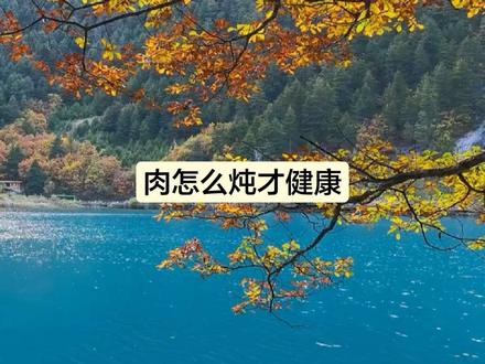 肉怎么炖才健康#倪海厦老师讲中医
