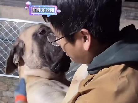 我们小宝最喜欢和俊良贴贴了,大脑袋好可爱#俊良 #小宝