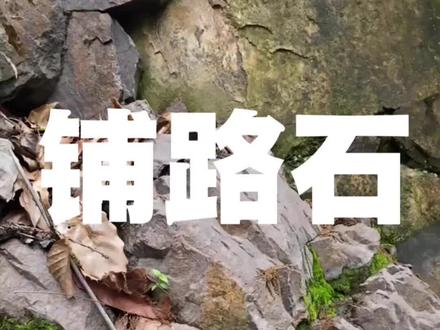 铺路石 #山林野径 #高中地理 #高中地理怎么学 #地理科普 #地理小知识