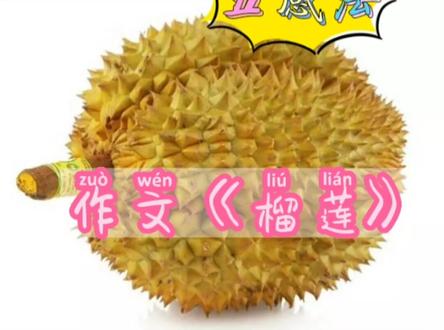 用五感法写榴莲,字数多有细节,学会方法写作文不再难#小学语文#作文#五感法