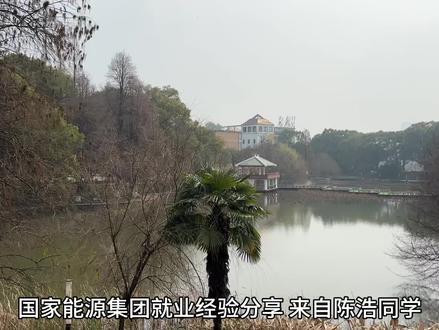 国家能源集团就业经验分享 #学校 #就业 #经验分享