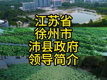 江苏省徐州市沛县政府领导简介#江苏dou知道 #沛县 #徐州