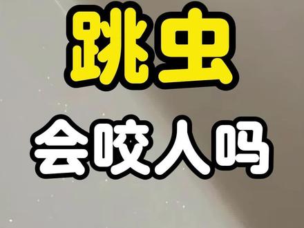 跳虫会咬人吗 卫生间墙壁角落出现跳虫 大多原因是因为家里滋生了霉菌 连续的雨季潮湿的环境 墙壁踢脚线地板 这些地方容易滋生霉菌 而霉菌正是跳虫喜爱的食物 所以会吸引它们聚集过来 跳虫喜欢待在卫生间的墙壁缝隙 家中堆放杂物的角落 这些都是阴暗的地方 最容易滋生跳虫 短时间就容易大面积爆发扩散 所以很多人在床铺上也能发现它们 需要注意的是 跳虫携带真菌还会对人发起攻击 被跳虫叮咬后 皮肤会出现红肿瘙痒的症状 密密麻麻的跳虫会给人造成心理上的不适 家里有小孩的更需要留意 孩子的皮肤娇嫩 很容易被咬伤 被叮咬后的情况比成人更严重 会因为抓挠引发感染 想对付跳虫 首先要保持室内通风干燥 让它们失去合适的生存环境 最主要的还是杀虫 使用这款跳虫专用杀虫剂 对着墙角窗户缝隙进行喷洒 这样能快速杀灭它们 药剂无色无味 孕婴宠家庭都可以放心使用
#跳虫#跳虫会咬人吗#墙壁上小黑点虫子 #地板上小虫子 #床上会跳的小虫
