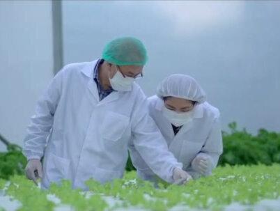 山东农大破解科学界百年未解之谜