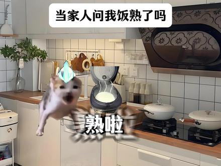 当家人问我饭熟了没 #猫meme #内容过于真实 #银河奥特曼