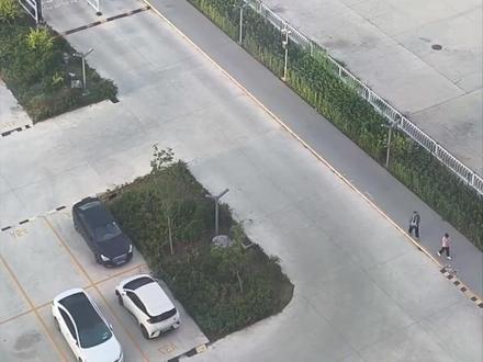 妈妈拍下儿子的上学搭子每天等他一起上学!这份“梧桐树下的约定”让人好羡慕~“如果可以 希望你们一生都在路上”#欲买桂花同载酒终不似少年游 (@聽聞远方有你 )