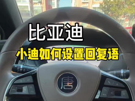 比亚迪车机上的你好小迪不但可以自定义回复词,还可以自定义更改名字 你发现了吗#比亚迪#比亚迪唐DMI #用车技巧