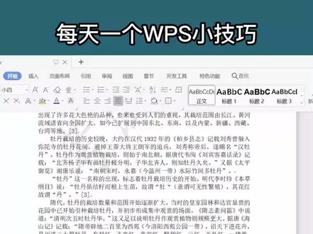 WPS Word批量删除内容。固定格式的内容怎么批量删除?千万别忽略查找与替换功能!办公很强大哦~#WPS #word #办公技巧