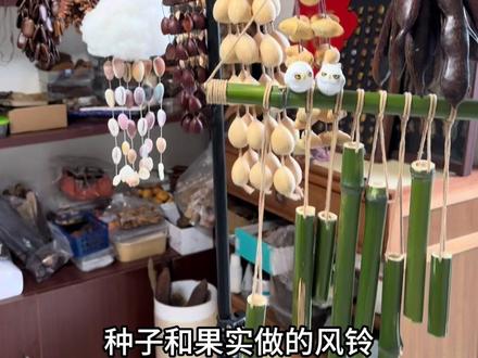 用各种植物种子做风铃 #手工 #风铃 #种子 #有趣