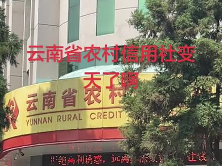云南省农村信用社系统升级后多少人还进去没有放出来的? #云南农村信用社