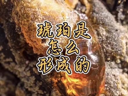 #琥珀蜜蜡 琥珀怎么形成
#琥珀