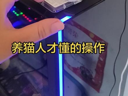 我可真是个天才!!防猫神器,防的就是你小猫#猫关电脑