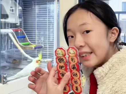 鹦鹉过年也需要仪式感 给发发鸟笼贴上对联,亚克力材质,好看耐用,贴上后春节气氛就有了 #鹦鹉对联 #鸟笼对联 #鹦鹉过年 #鹦鹉春联 #鹦鹉过年的仪式感