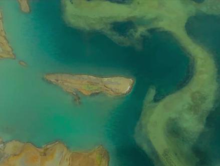 生命树同名片尾曲(演唱:谭维维)#生命树 #杨紫 #谭维维