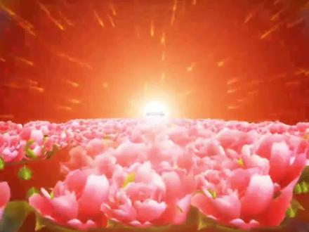 #赏花听歌美景如画 卡拉OK超清视频