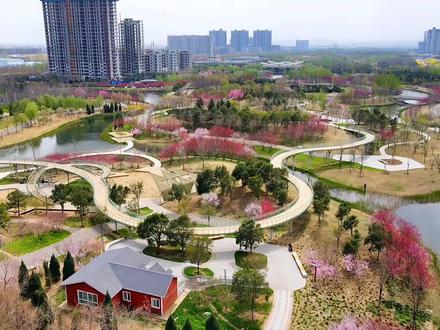 汝州中央公园游乐设施游玩攻略##旅行大玩家 #汝瓷知己汝州等你