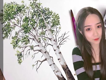 手绘两棵白桦树,创意描摹你心中的茂盛枝条
