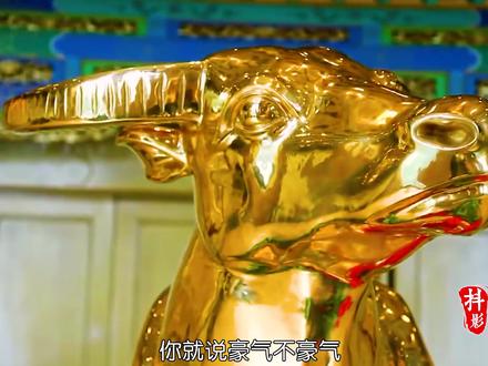 中国最富有的村庄,每个居民都是百万富翁 #华西村天下第一村 #励志故事 #持续关注持续精彩 #乡村