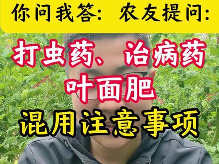 你问我答,打虫药,治病药,叶面肥混用注意事项#农业种植 #农药混用 #增产增收才是硬道理 #种植小技巧 #分享农业知识帮农民增产增收