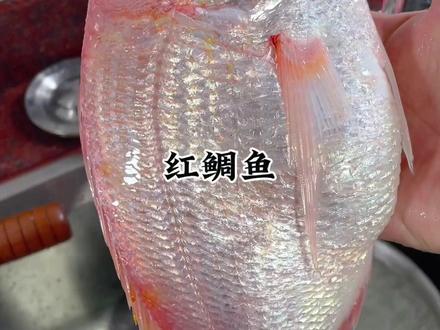 潮汕家庭做法,红鲷鱼烧鲜鱿。#我的厨房日记 #爱做饭的男人