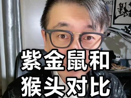 紫金鼠和猴头对比 紫金鼠VS猴头#紫金鼠 #猴头 #文玩手串 #文玩知识