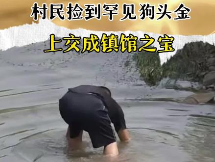1988年,河南一村民捡到罕见狗头金,上交成镇馆之宝