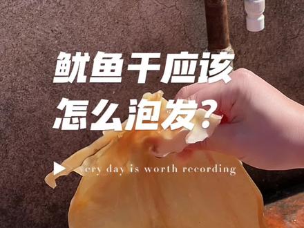 鱿鱼干怎么泡发?怎么做好吃?波燕姐分享鱿鱼干的正确泡发方法#海味干货 #舟山美食
