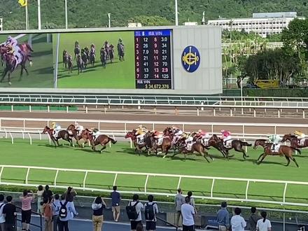 当我终于亲眼见到小学三年级语文课本里的《香港,璀璨的明珠》… #香港 #00后 #城市记忆 #转场 #人教版